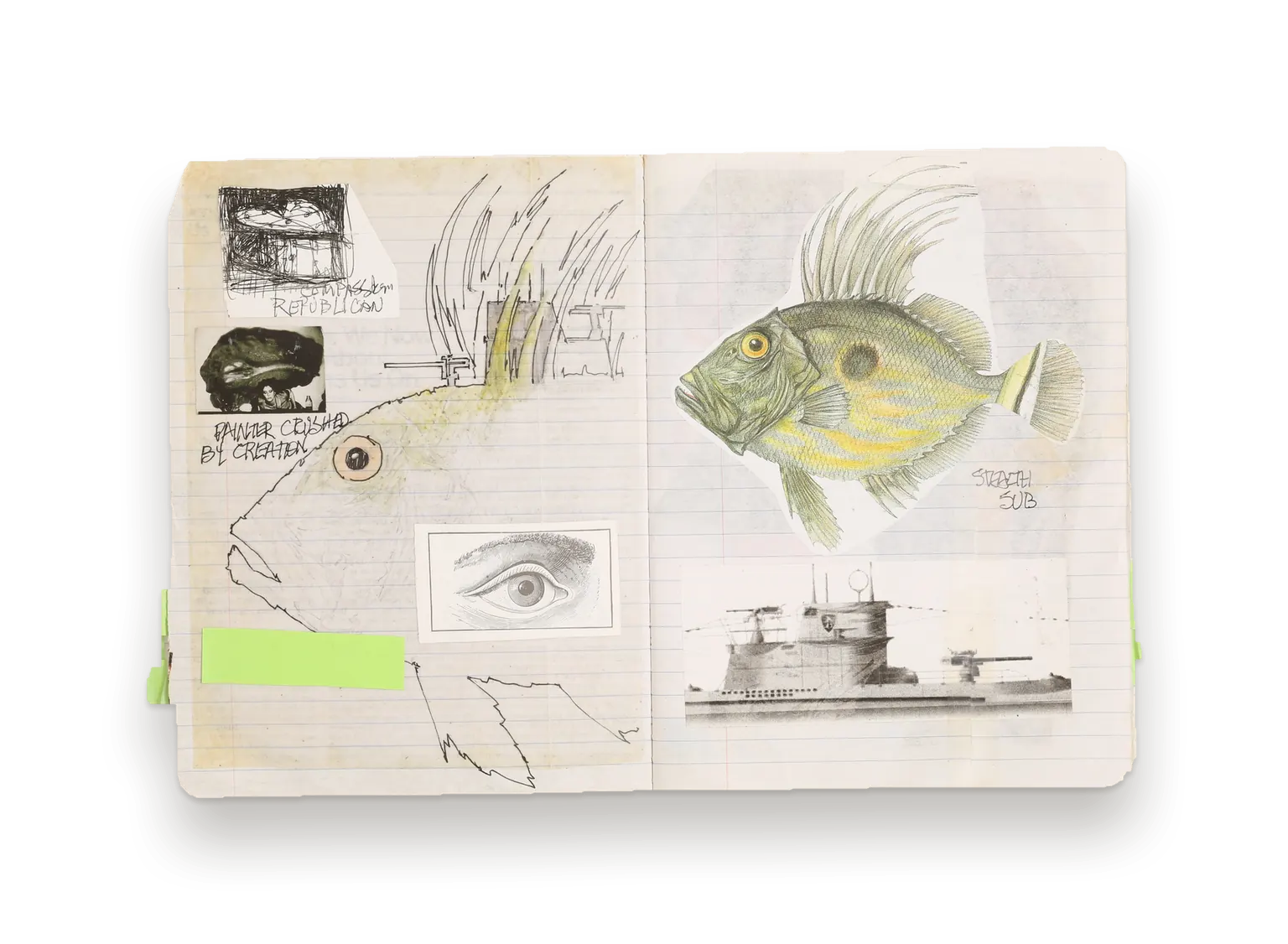 Journal spread: a drawn fish across both pages, with an eye study and a photograph of a submarine